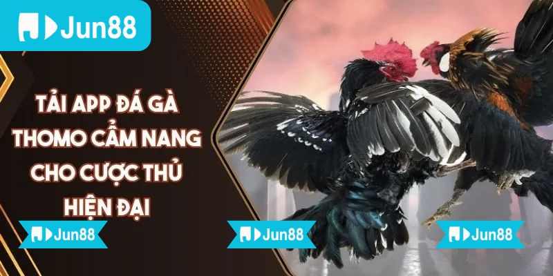 Chỉ cần vài thao tác đơn giản là có thể theo dõi mọi trận gà ngay trên điện thoại