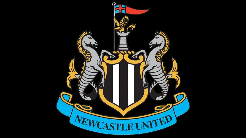 Cầu thủ Newcastle đang cố gắng ngăn chặn cầu thủ Qarabag tiến lên.